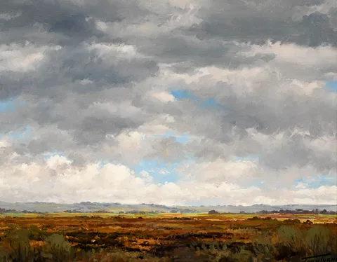 BOG NEAR BALLYMAHON, COUNTY LONGFORD by John Turner, oil on canvas, sold May 2017