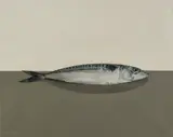 Comhghall Casey, MACKEREL