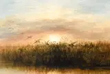 Andrew Nicholl, WILD DUCK AT SUNRISE