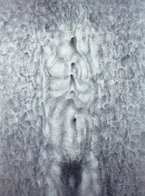 Louis le Brocquy, HUMAN IMAGE VI