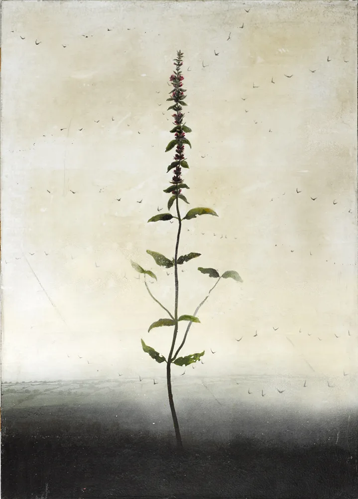 PAINTING 'PSALMS' V by Michael Canning, 2004, oil and wax on canvas over board, sold Nov 2016