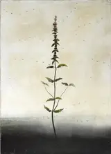 Michael Canning, PAINTING 'PSALMS' V