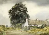 BALLYSKEAGH, COUNTY DOWN, Whyte's 2016