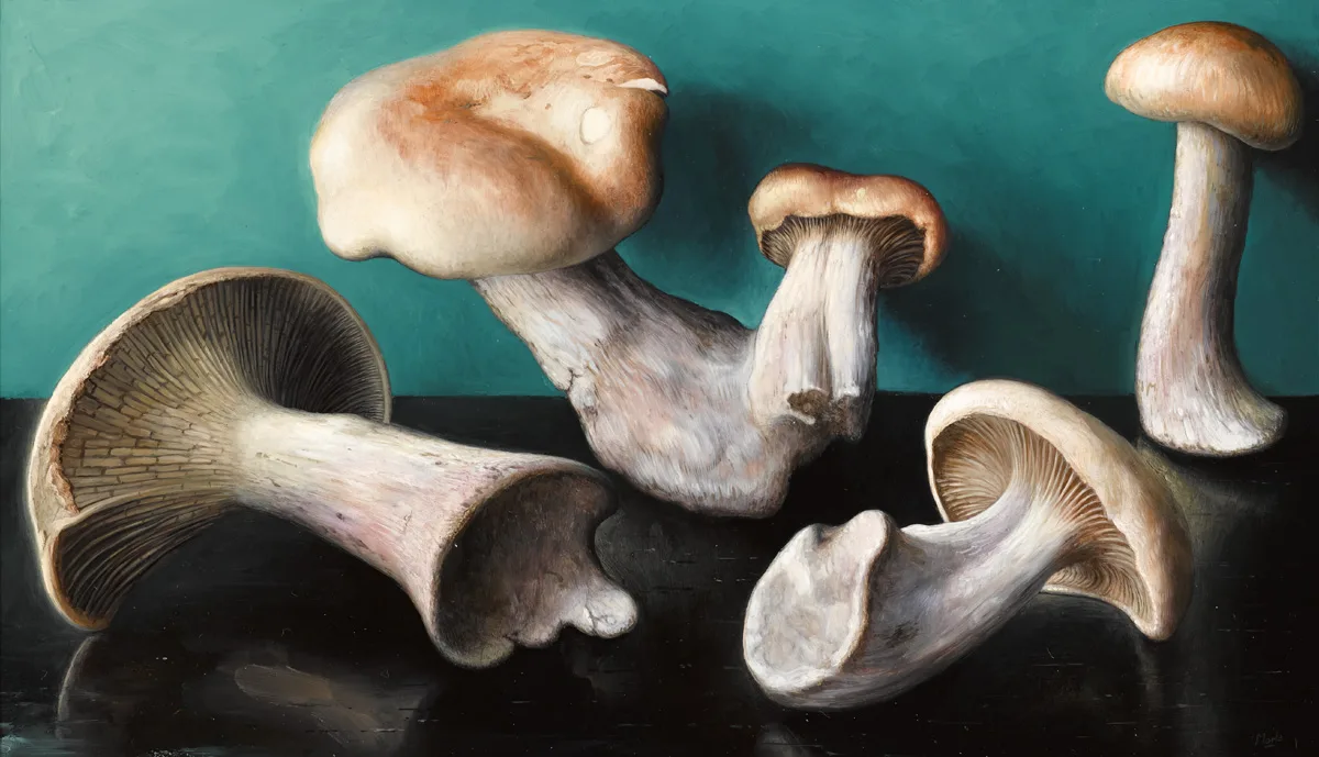 MUSHROOMS by Stuart Morle, oil on copper, sold May 2016