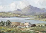 Rowland Hill, COTTAGES, COUNTY MAYO