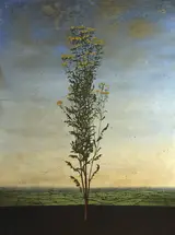 Michael Canning, ASSEMBLY