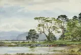 Frank Egginton, LOWER LAKE, KILLARNEY, KERRY