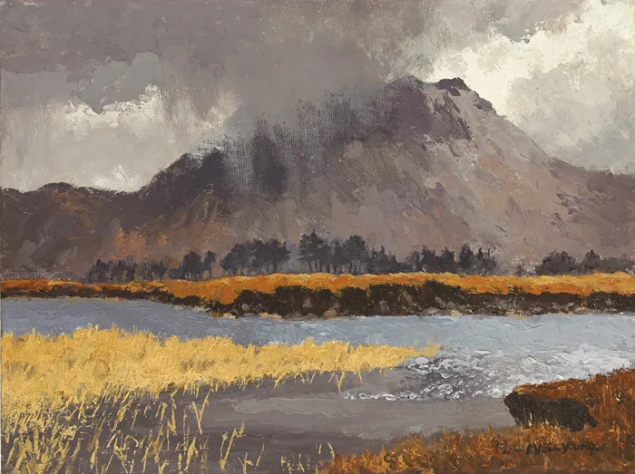 Mabel Young, COUNTY WICKLOW MOUNTAIN, oil on canvas board