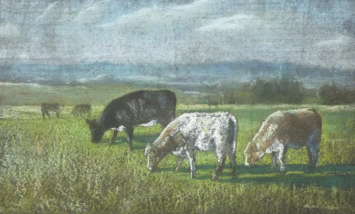 CATTLE IN A FIELD by Robert Taylor Carson, pastel, offered Nov 2014