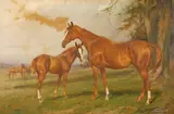 George Wright, HORSES IN A LANDSCAPE