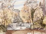 Tom Nisbet, THE DODDER AT CLONSKEAGH, DUBLIN