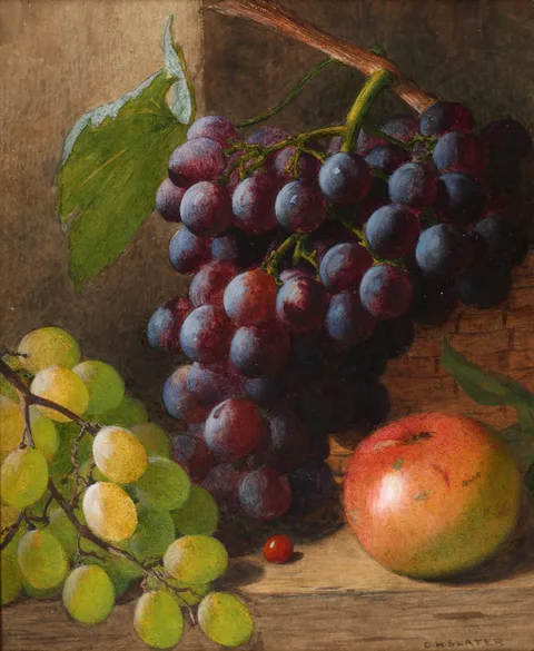 Charles Henry Slater, STILL LIFE OF GRAPES AND AN APPLE, watercolour on paper