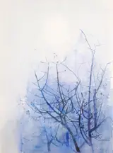 Tom Carr, THORN HEDGE