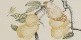 Patrick Hickey, THE FIRST DAY OF CHRISTMAS, A PARTRIDGE IN A PEAR TREE