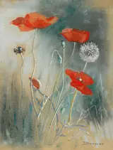 Phoebe Donovan, POPPIES