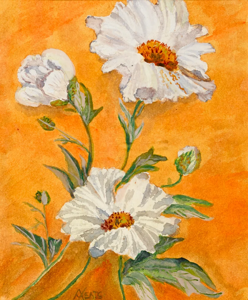 FLOWER STUDY by Anne Yeats, watercolour, sold Apr 2017