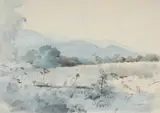 Tom Carr, THE CORNFIELD