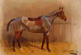 George Wright, EQUESTRIAN PORTRAIT