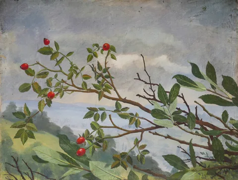 William Eric Horsbrugh-Porter, WINTER BERRIES, oil on canvas board; (unframed)