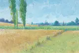 Brett McEntagart, SUMMER LANDSCAPE, DORDOGNE, FRANCE