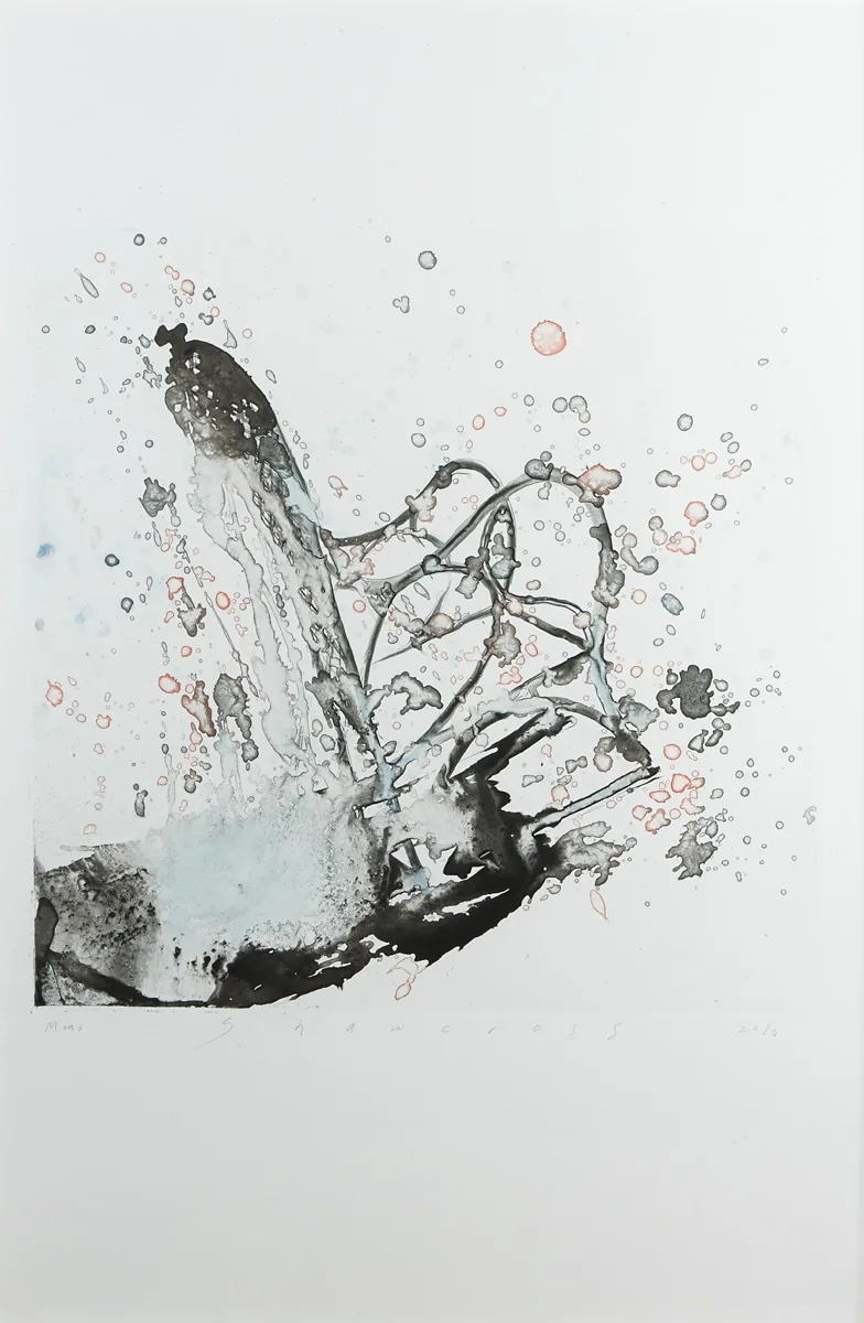 Neil Shawcross, UNTITLED, 2010, monoprint
