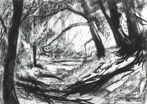 Eithne Carr, LANDSCAPE, charcoal