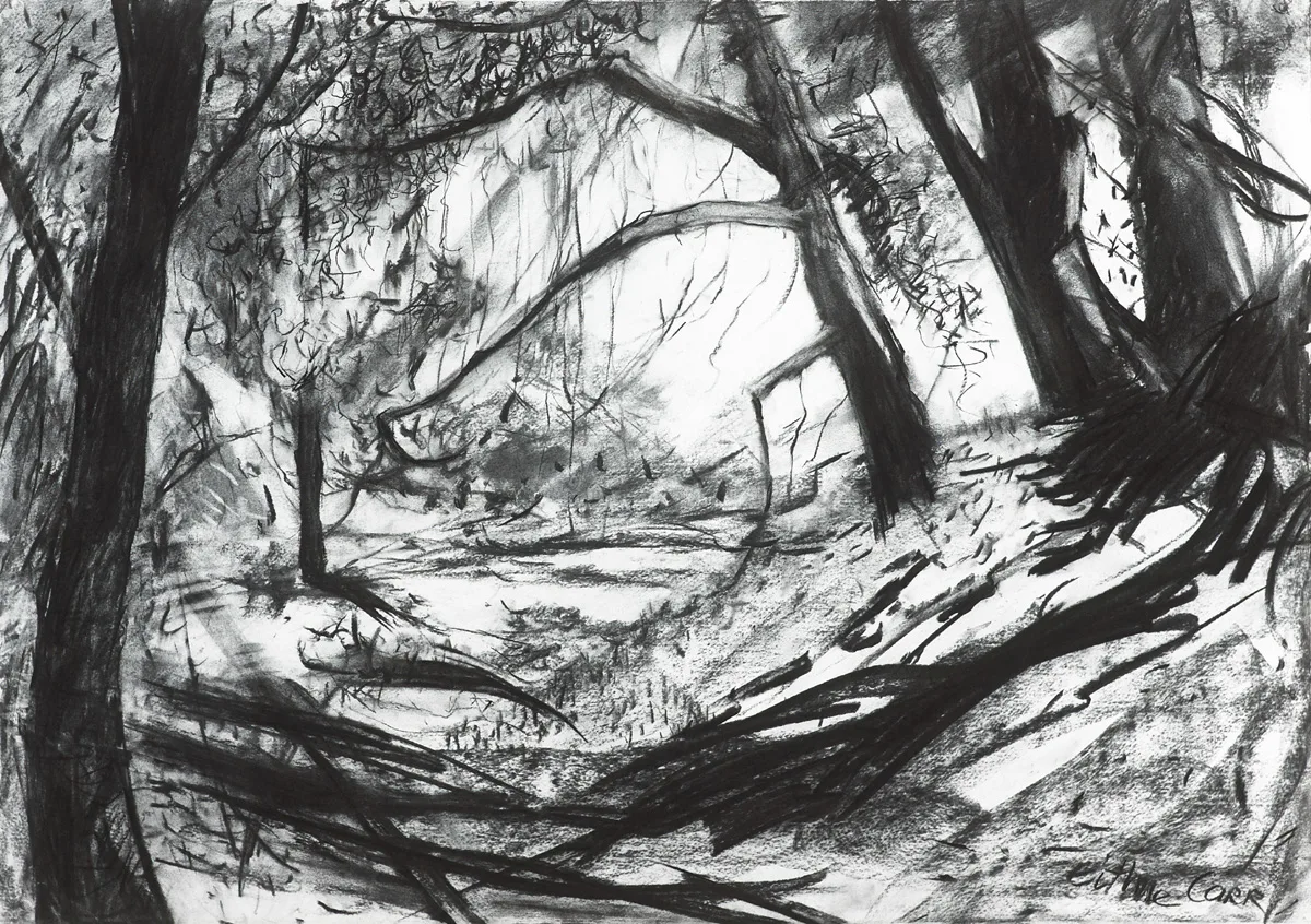 Eithne Carr, LANDSCAPE, charcoal