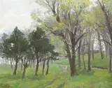 Hans Iten, BELVOIR PARK, BELFAST