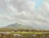 Gerry Marjoram, CONNEMARA