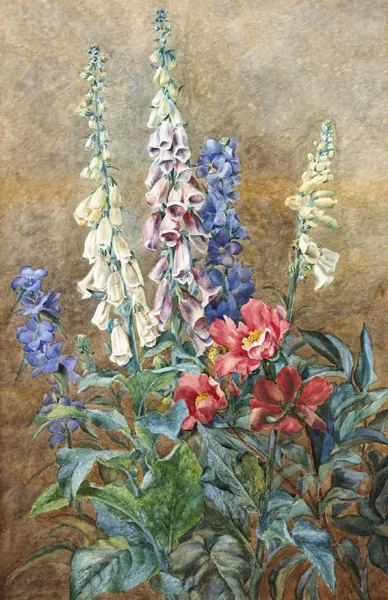 Kathleen Fox, STILL LIFE, FLOWERS, 1904, watercolour