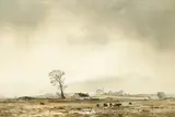 Frank Egginton, VIEW IN COUNTY ANTRIM
