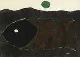 Kenneth Hall, FISH
