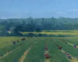 Brett McEntagart, THE TOMATO HARVEST, FRANCE