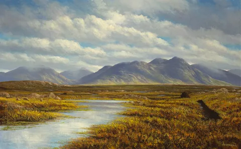 ROUNDSTONE BOG by Gerry Marjoram, 1996, oil on canvas, sold Sep 2015
