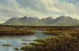 Gerry Marjoram, BOGLAND SCENE, CONNEMARA