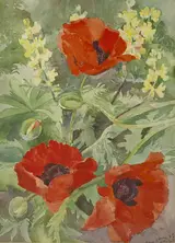 Moyra Barry, ORIENTAL POPPIES