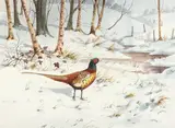Robert W. Milliken, PHEASANT IN WINTER