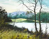 TREES AT WATERS EDGE, Whyte's 2015