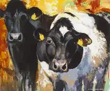 FRIESIANS, EVENING LIGHT, Whyte's 2015