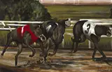 GREYHOUND RACING, Whyte's 2015