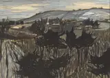 LANDSCAPE COUNTY DOWN, Whyte's 2015