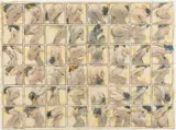 Charles Harper, BODY TENTION