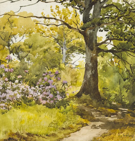 HAZELMERE by Helen Colvill, watercolour, sold Feb 2015