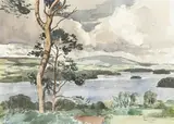 Tom Nisbet, LOUGH KEY