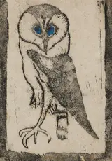 Conor Fallon, OWL