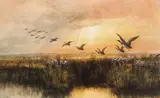 Andrew Nicholl, MALLARDS IN FLIGHT