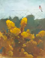 Tom Carr, GORSE AND ROBIN ON A WIRE