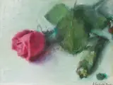Thomas Ryan, STILL LIFE WITH PINK ROSE