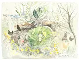 Pauline Bewick, PRIMROSES AND HENS