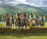 Peter Curling, MAIDEN HURDLE, CLONMEL, COUNTY TIPPERARY